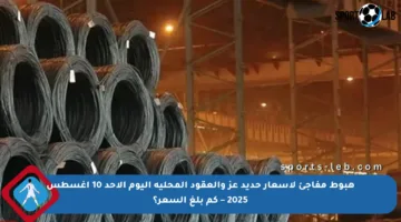 هبوط مفاجئ لأسعار حديد عز والعقود المحلية اليوم الأحد 10 أغسطس 2025 – كم بلغ السعر؟